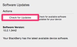 Check for Updates in BlackBerry Link